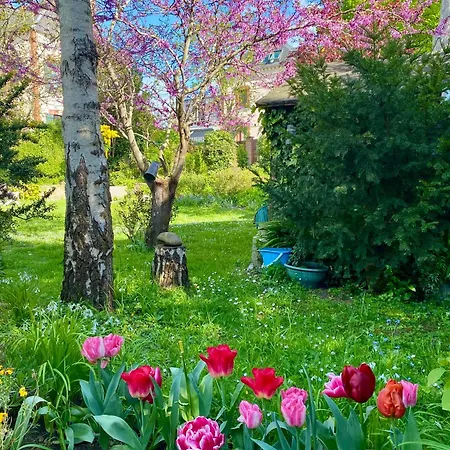 L'escale * Сен-Пер-сюр-Мер