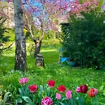 L'escale * Saint-Pair-sur-Mer
